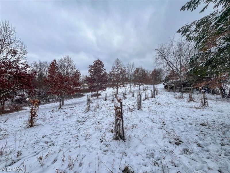 87085 Crall Road , Scio, OH 43988 Photo 23