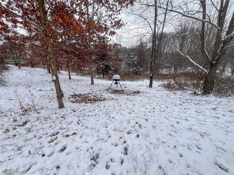 87085 Crall Road , Scio, OH 43988 Photo 24