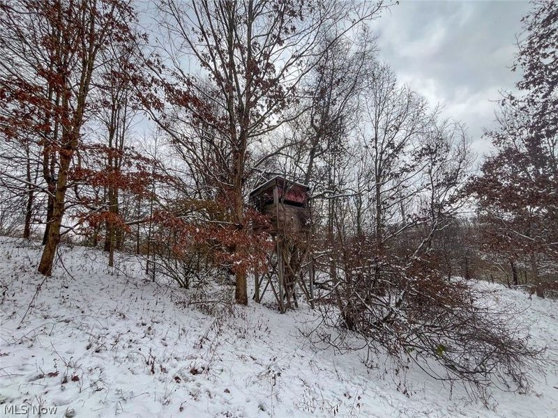 87085 Crall Road , Scio, OH 43988 Photo 25