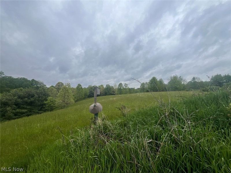 87085 Crall Road, Scio, OH 43988 Photo 3