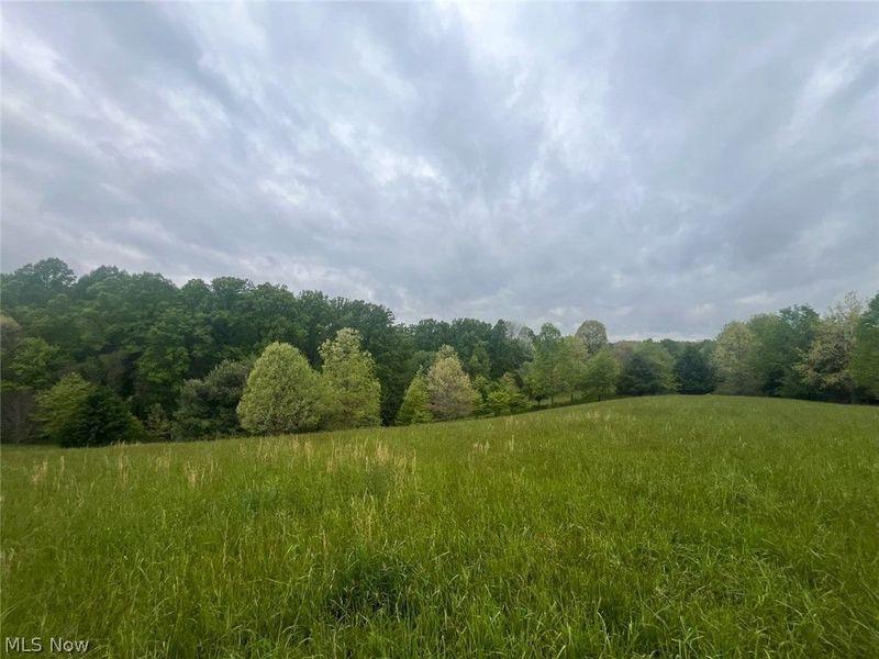 87085 Crall Road, Scio, OH 43988 Photo 4