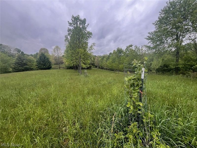 87085 Crall Road, Scio, OH 43988 Photo 5