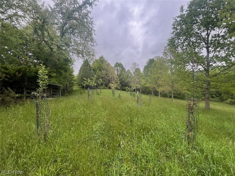 87085 Crall Road, Scio, OH 43988 Photo 6