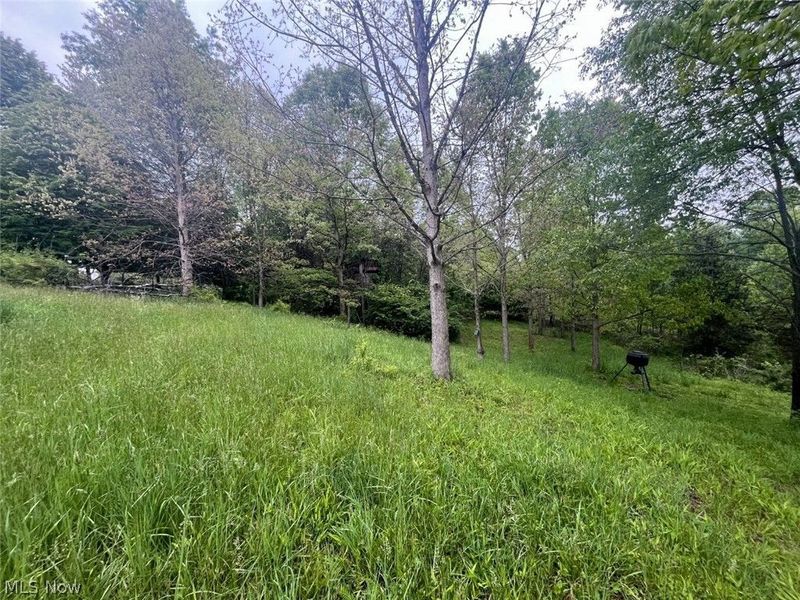 87085 Crall Road, Scio, OH 43988 Photo 7