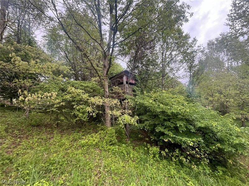 87085 Crall Road, Scio, OH 43988 Photo 8
