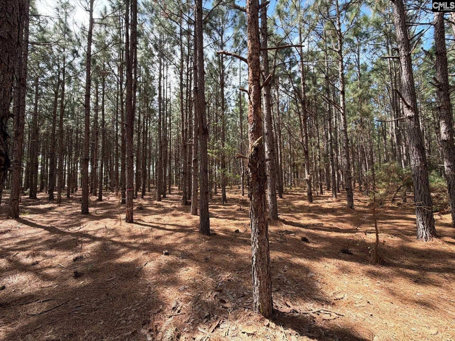 Mta 6 Heustess Road Photo 10