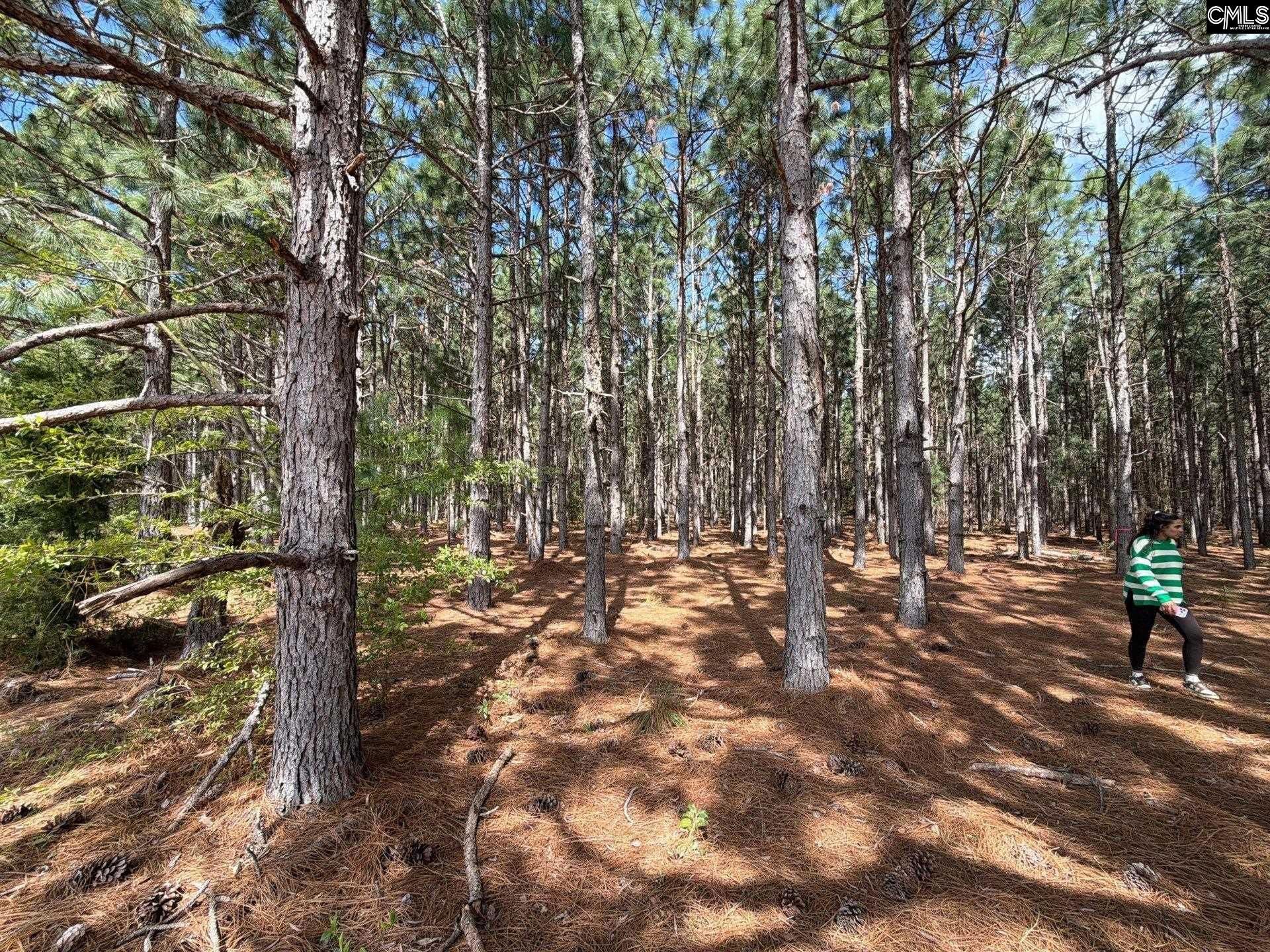 Mta 6 Heustess Road Photo 11