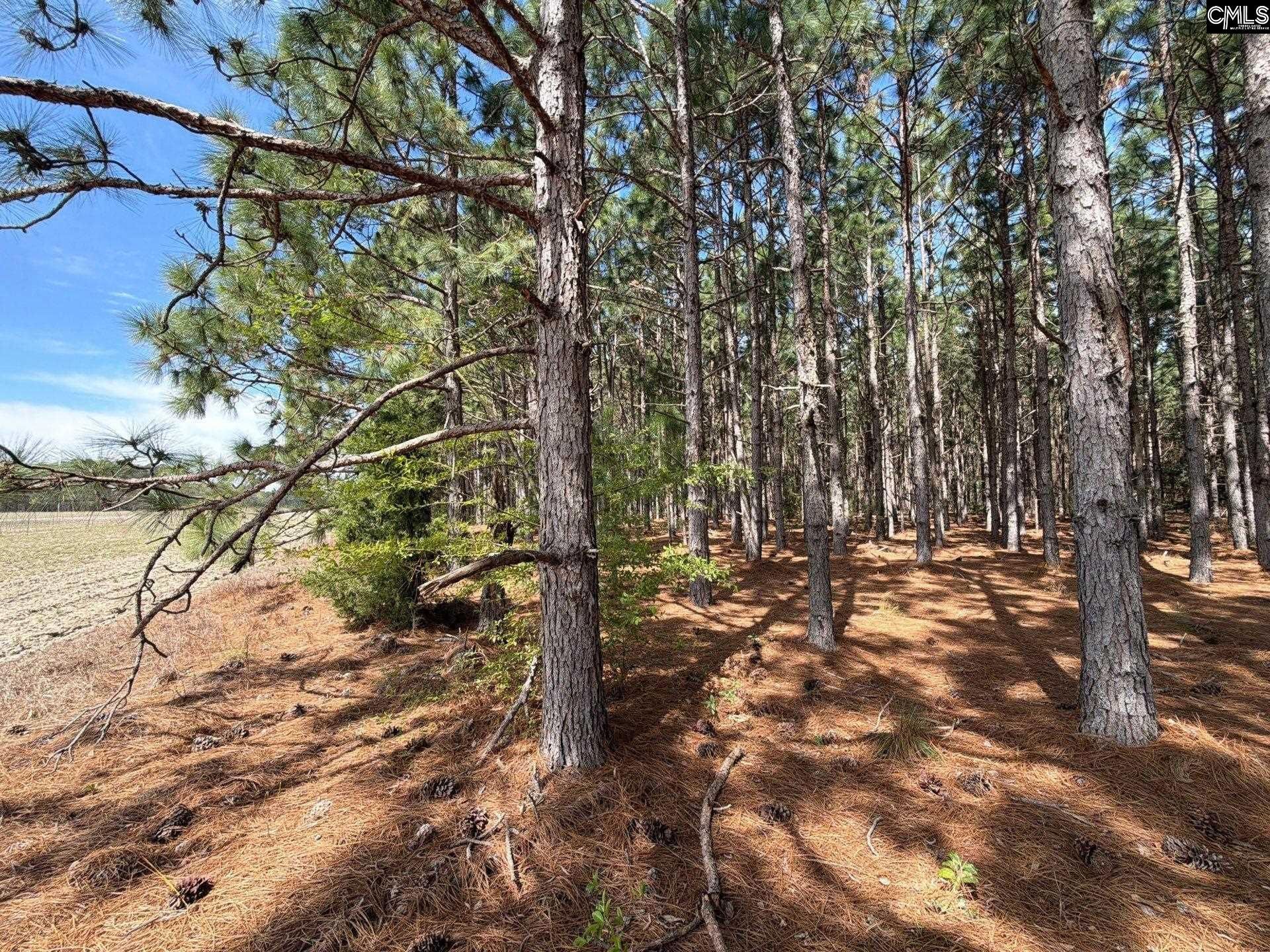 Mta 6 Heustess Road Photo 12