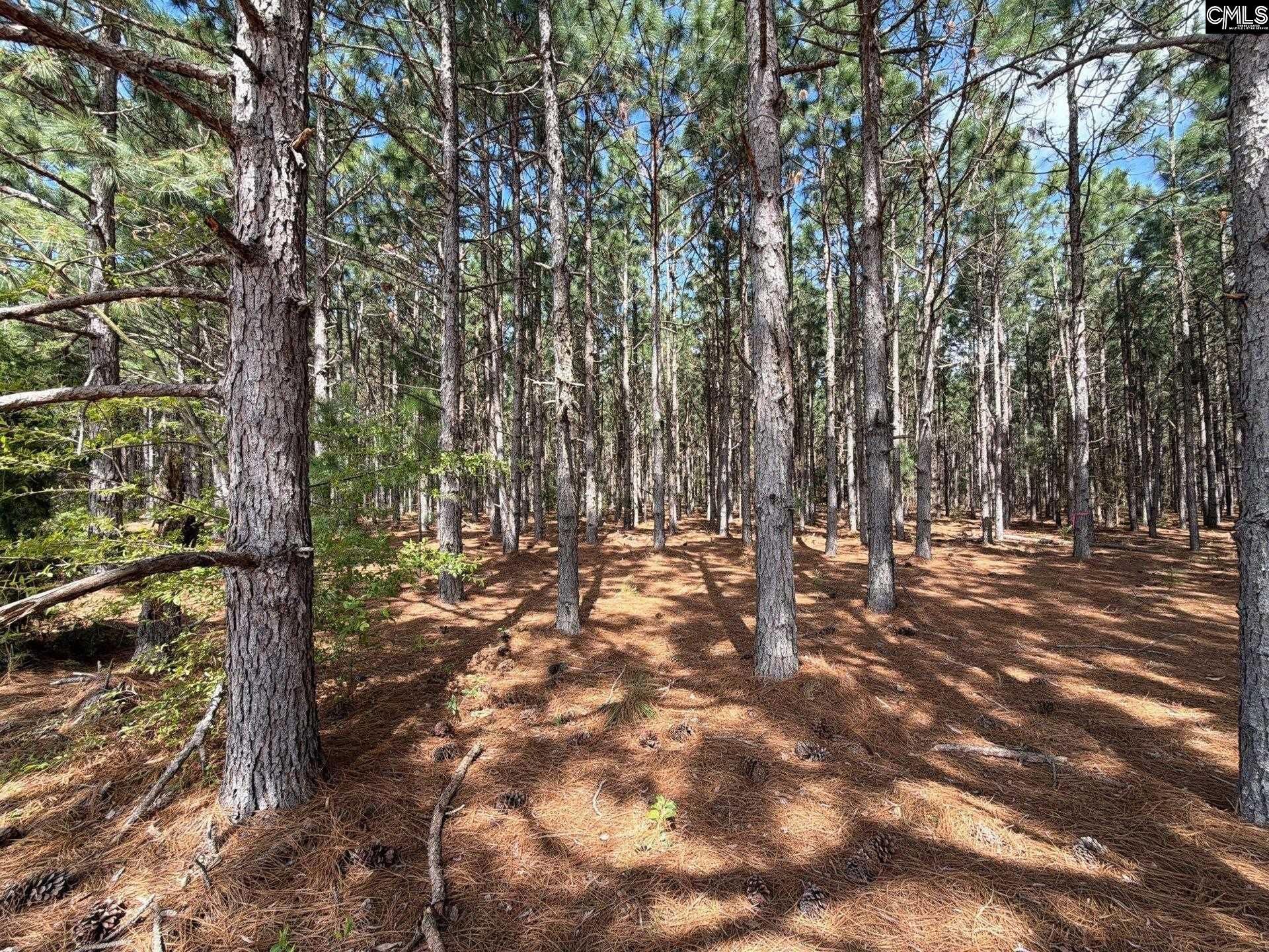 Mta 6 Heustess Road Photo 13