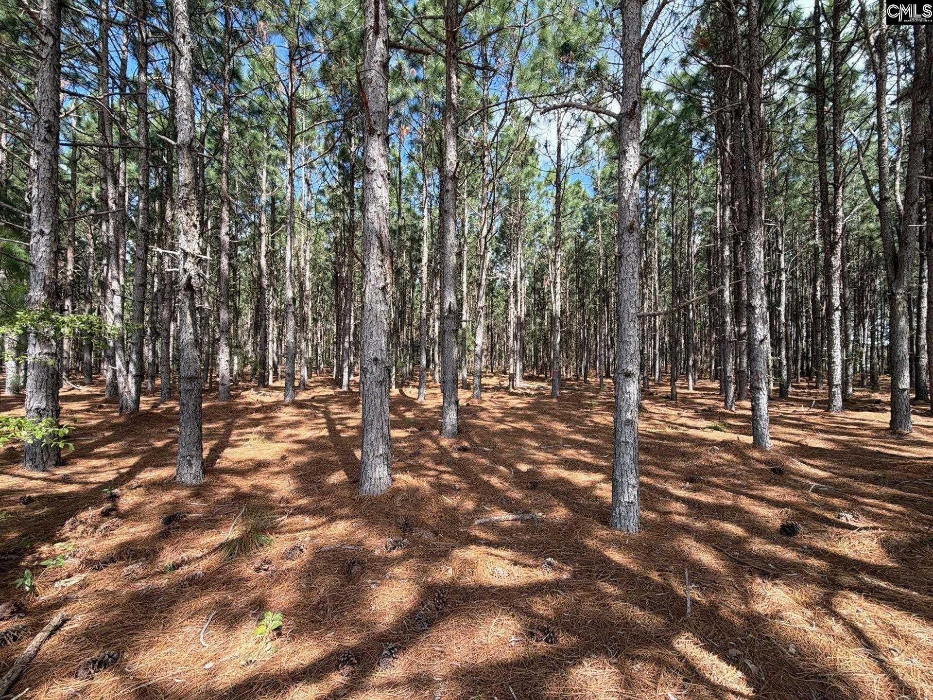 Mta 6 Heustess Road Photo 14