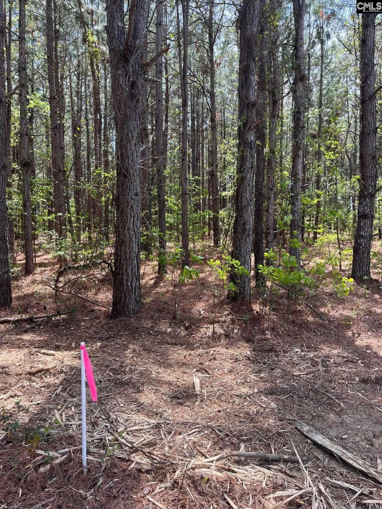 Mta 6 Heustess Road Photo 15