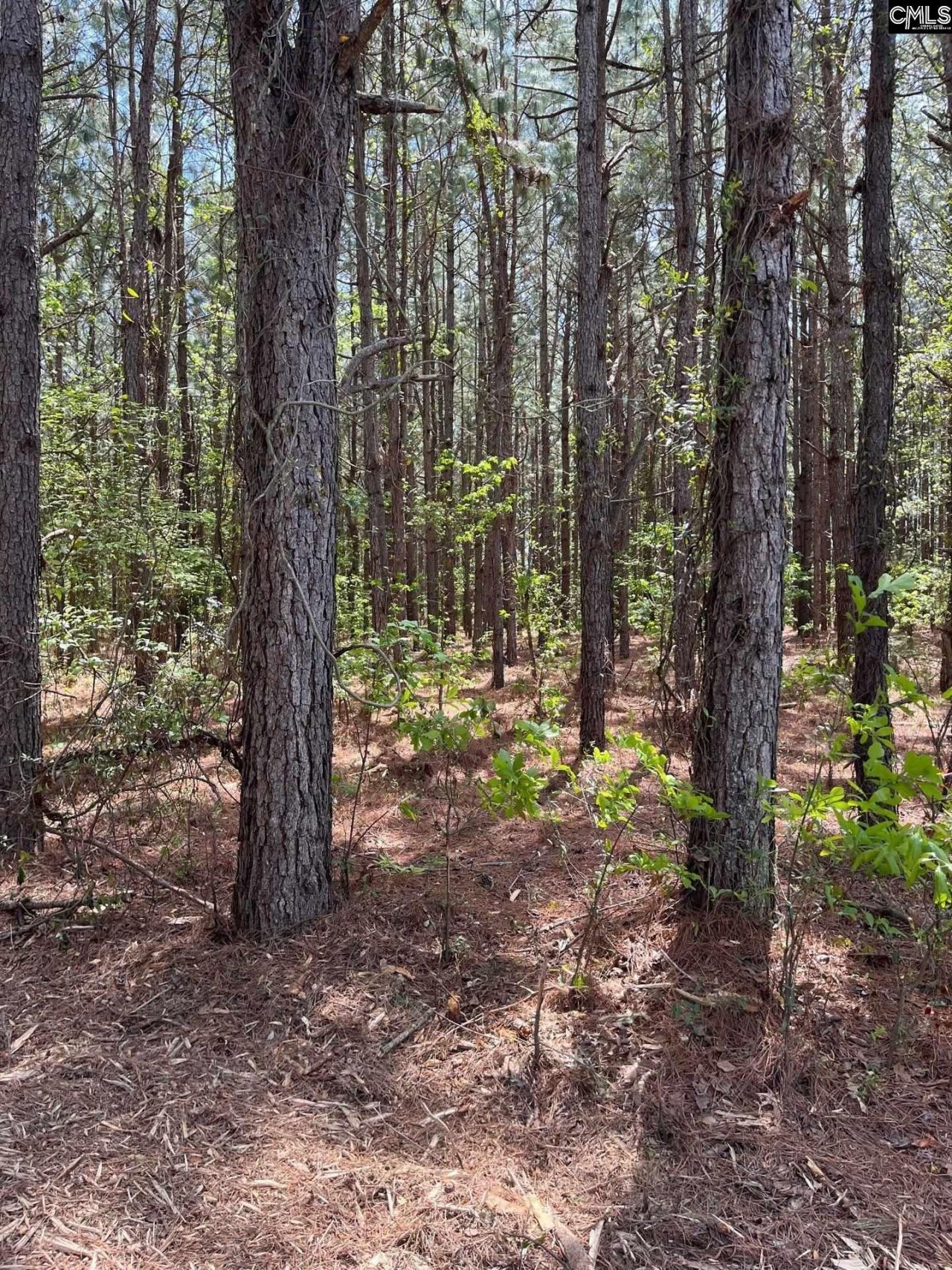 Mta 6 Heustess Road Photo 16