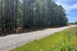 Mta 6 Heustess Road photo 4