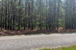 Mta 6 Heustess Road photo 4