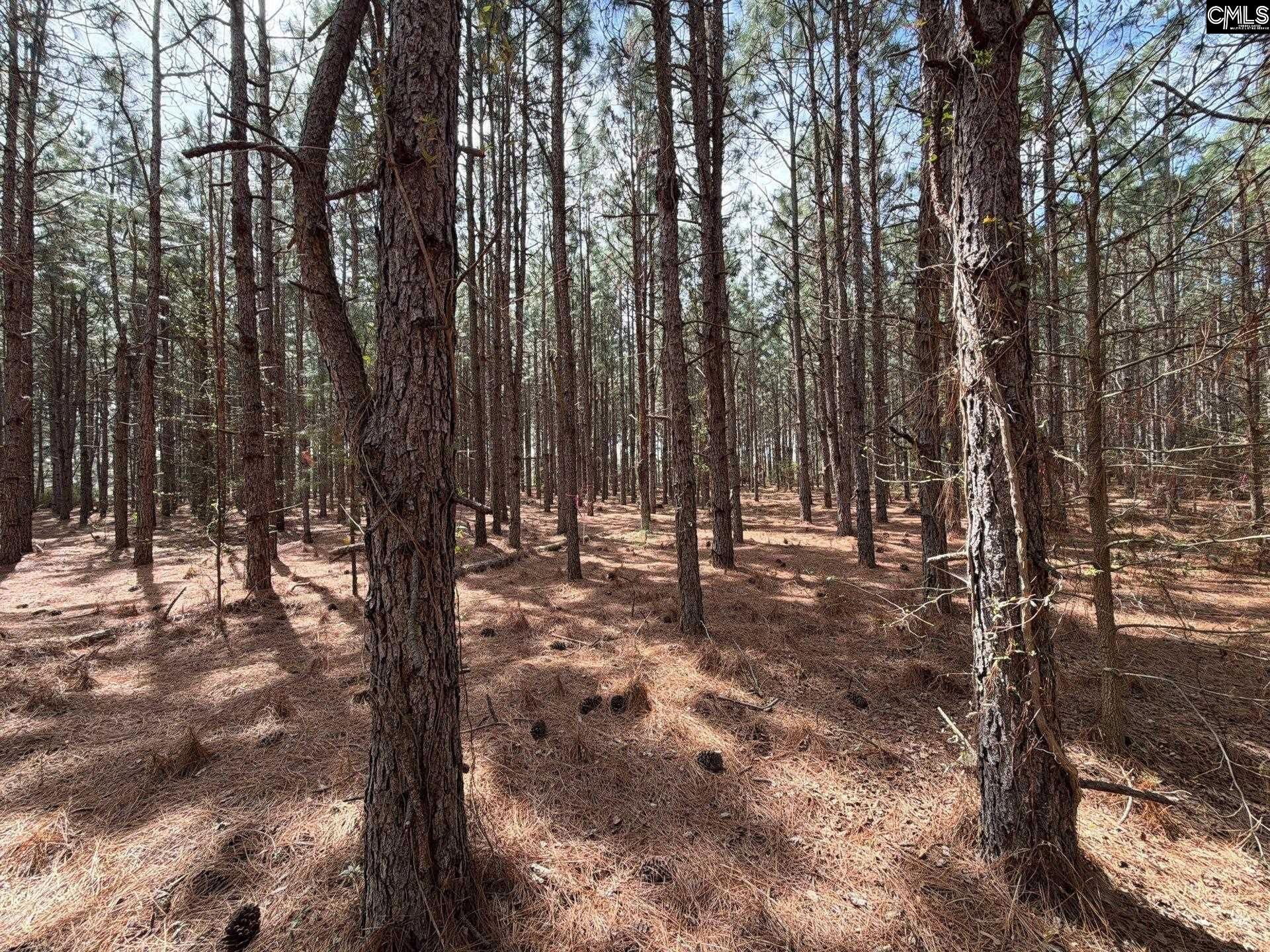 Mta 6 Heustess Road Photo 4