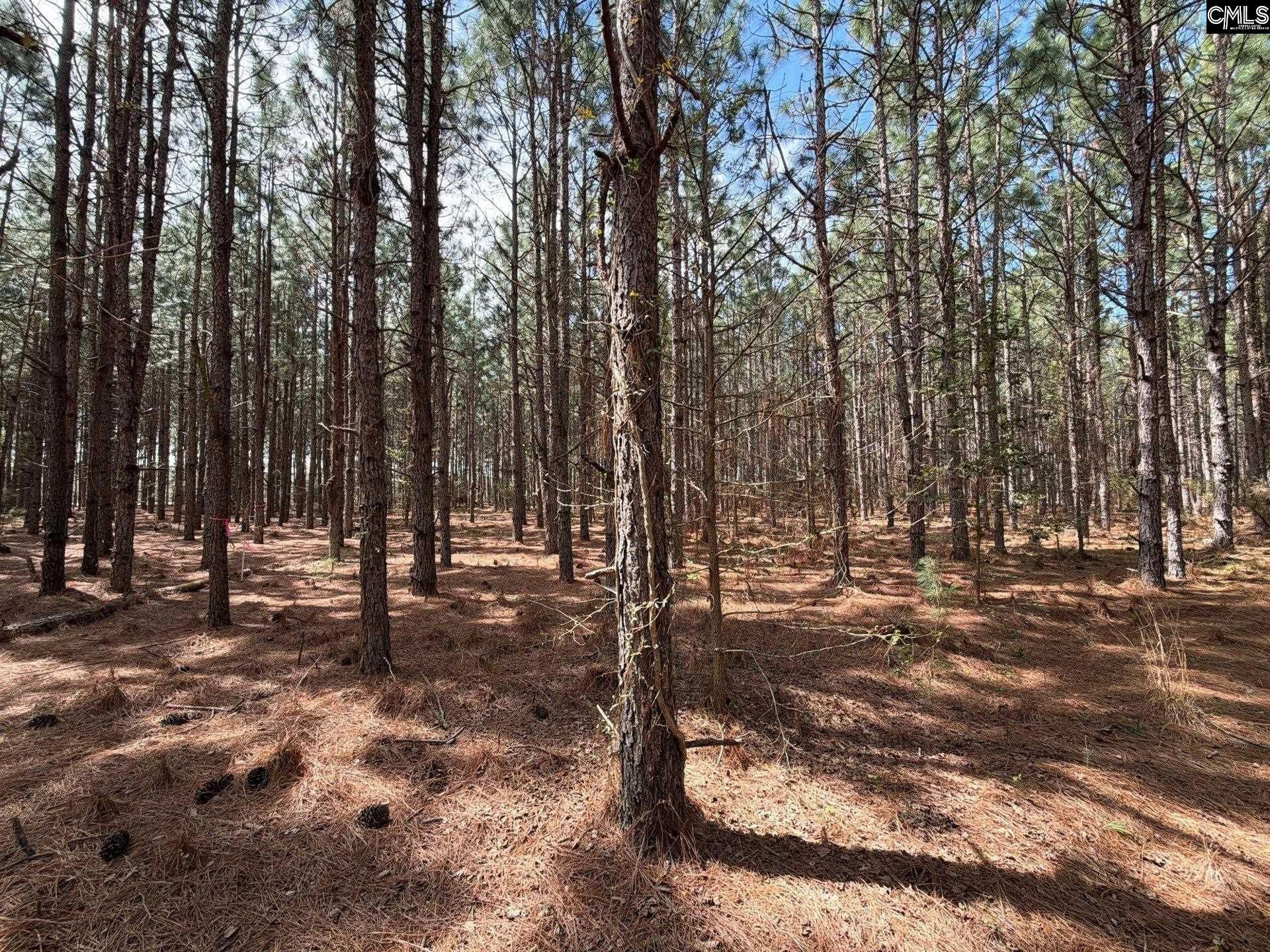 Mta 6 Heustess Road Photo 5