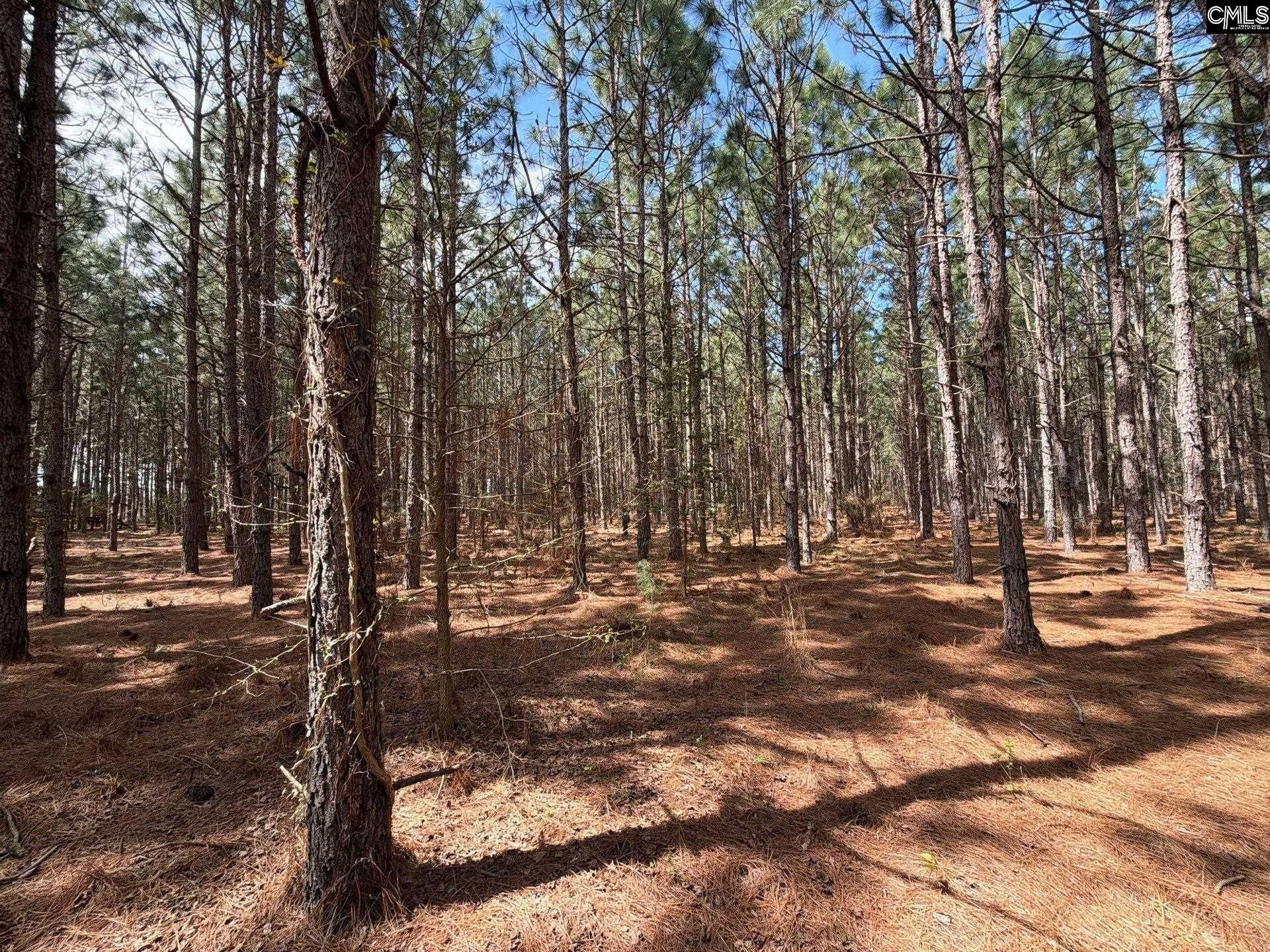 Mta 6 Heustess Road Photo 6