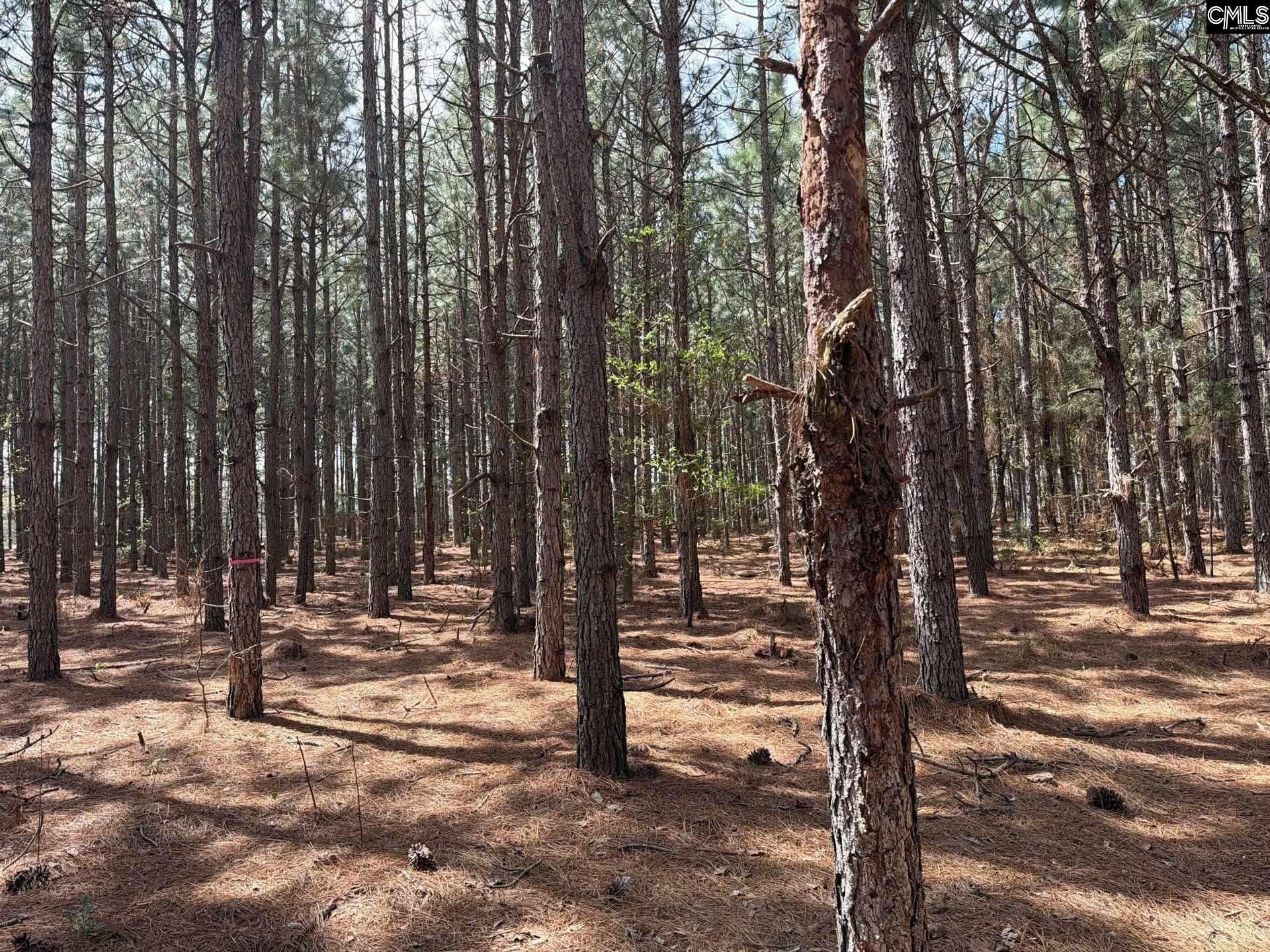 Mta 6 Heustess Road Photo 7