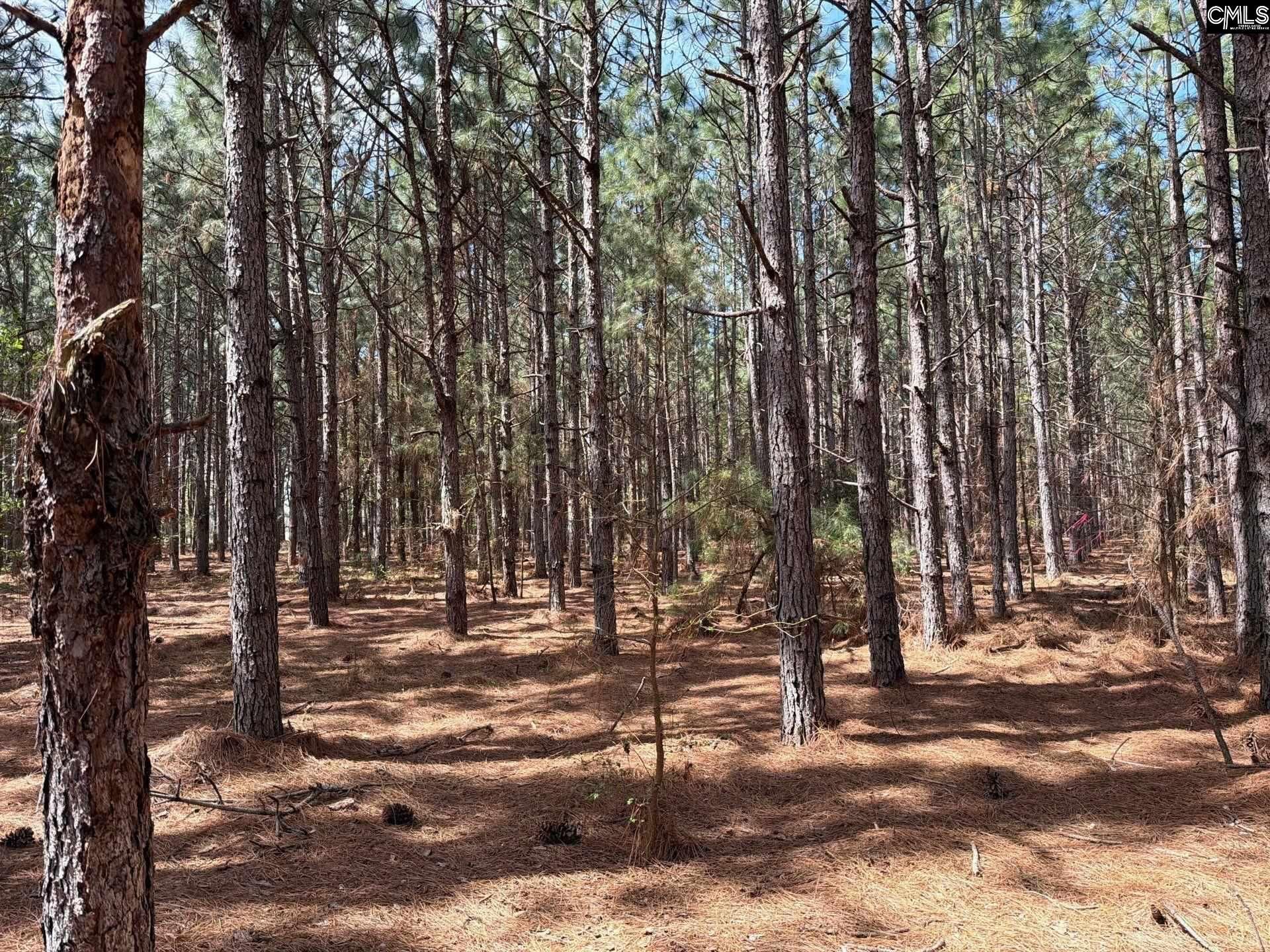 Mta 6 Heustess Road Photo 8