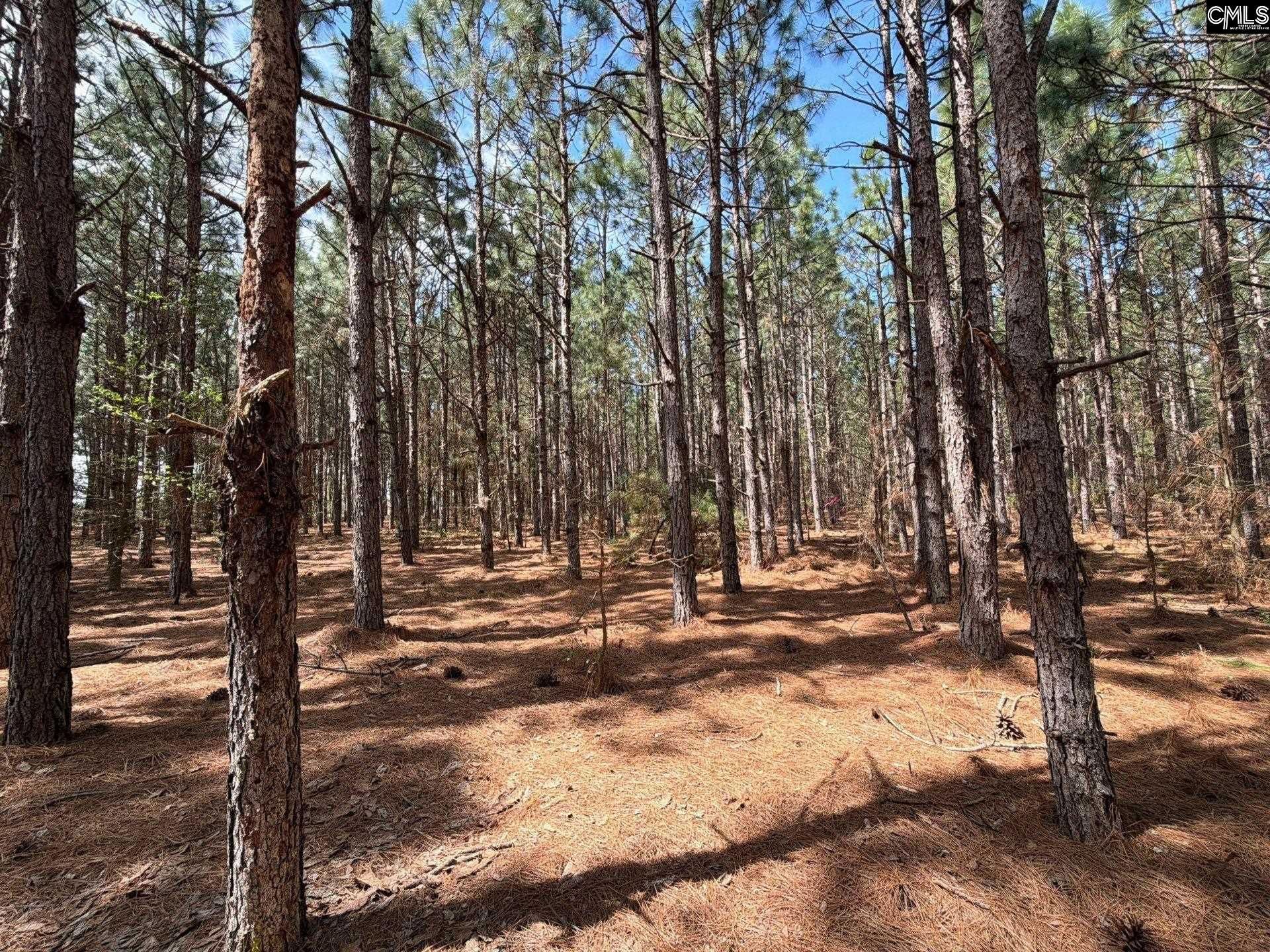 Mta 6 Heustess Road Photo 9