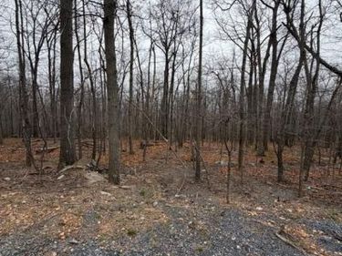 ARBUTIS TRL , STAR TANNERY, VA 22654