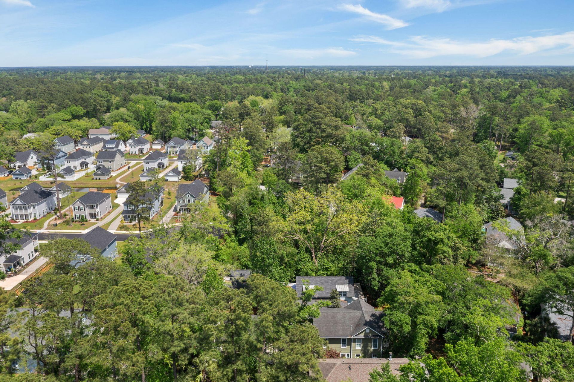 102 Lowndes Lane Photo 10