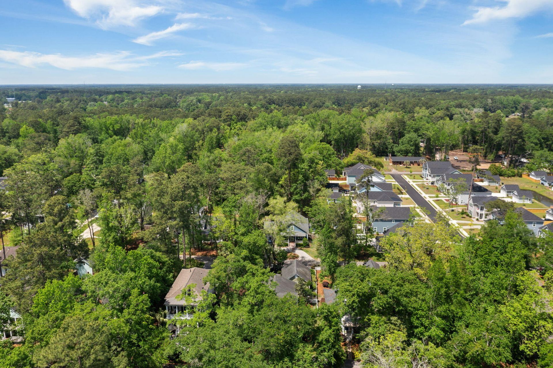 102 Lowndes Lane Photo 9