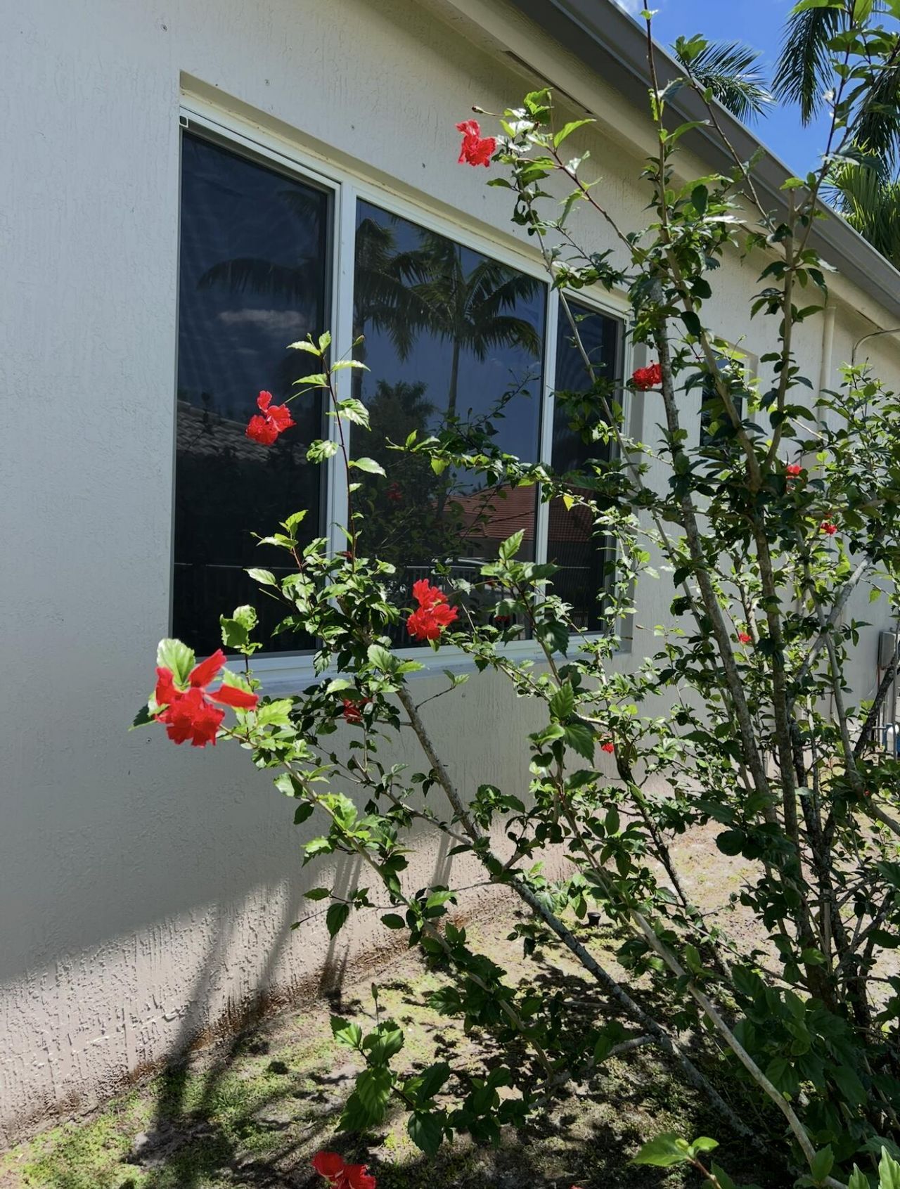 8263 N Lake Forest Drive, Davie, FL 33328 Photo