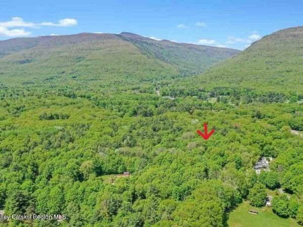 391 Pennsylvania Avenue, Palenville, NY 12463