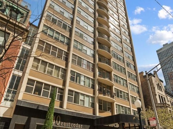 40 E Cedar Street, Unit 18A, Chicago, IL 60611