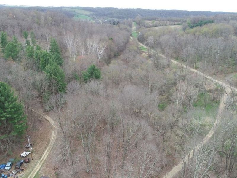 32917 TOWNSHIP RD 381, Warsaw, OH 43844 Photo 22