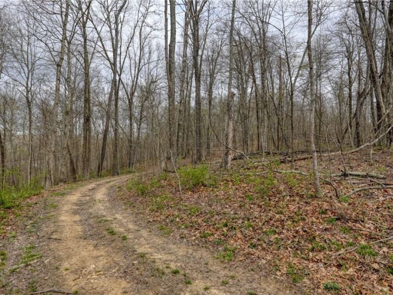 32917 TOWNSHIP RD 381 , Warsaw, OH 43844 Photo 25