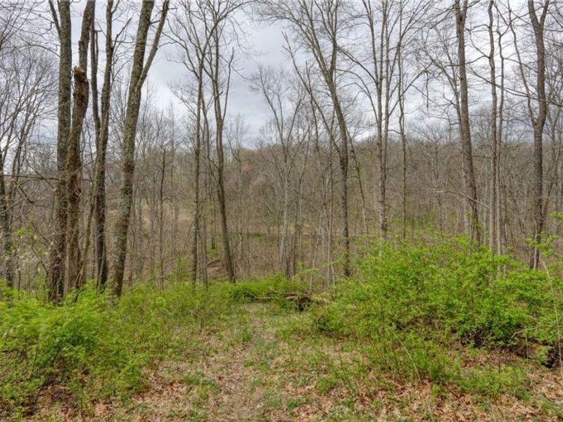 32917 TOWNSHIP RD 381, Warsaw, OH 43844 Photo 26