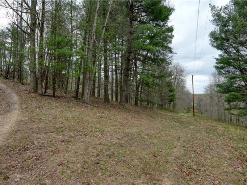 32917 TOWNSHIP RD 381, Warsaw, OH 43844 Photo 27