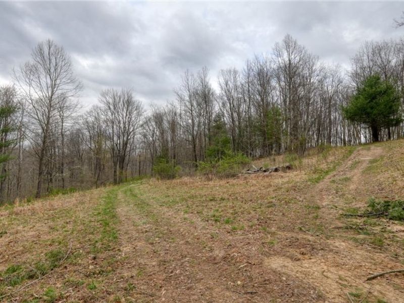 32917 TOWNSHIP RD 381, Warsaw, OH 43844 Photo 29