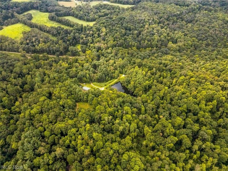 32917 TOWNSHIP RD 381, Warsaw, OH 43844 Photo 39