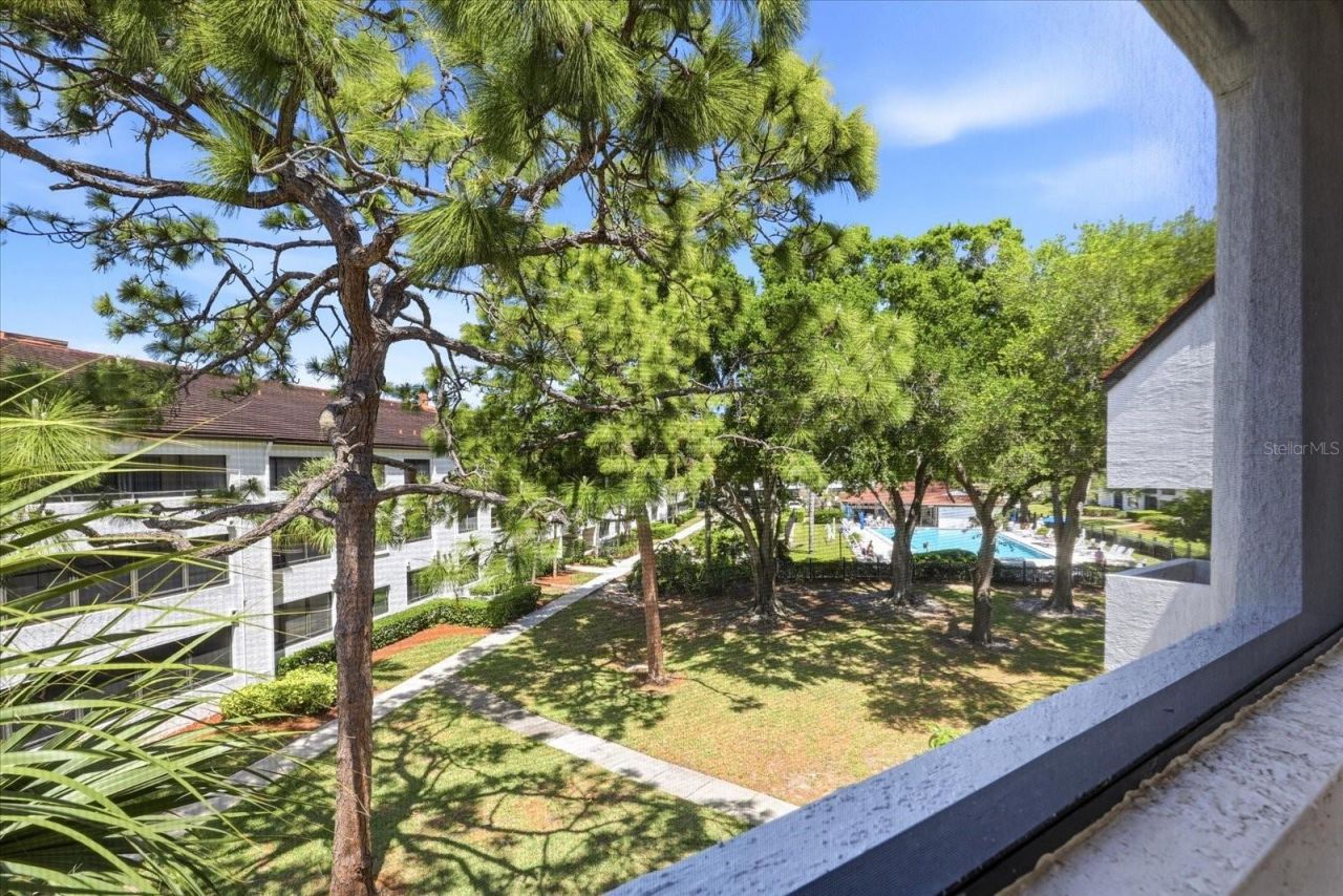 2593 Countryside Boulevard, Unit 7301, Clearwater, FL 33761 Photo