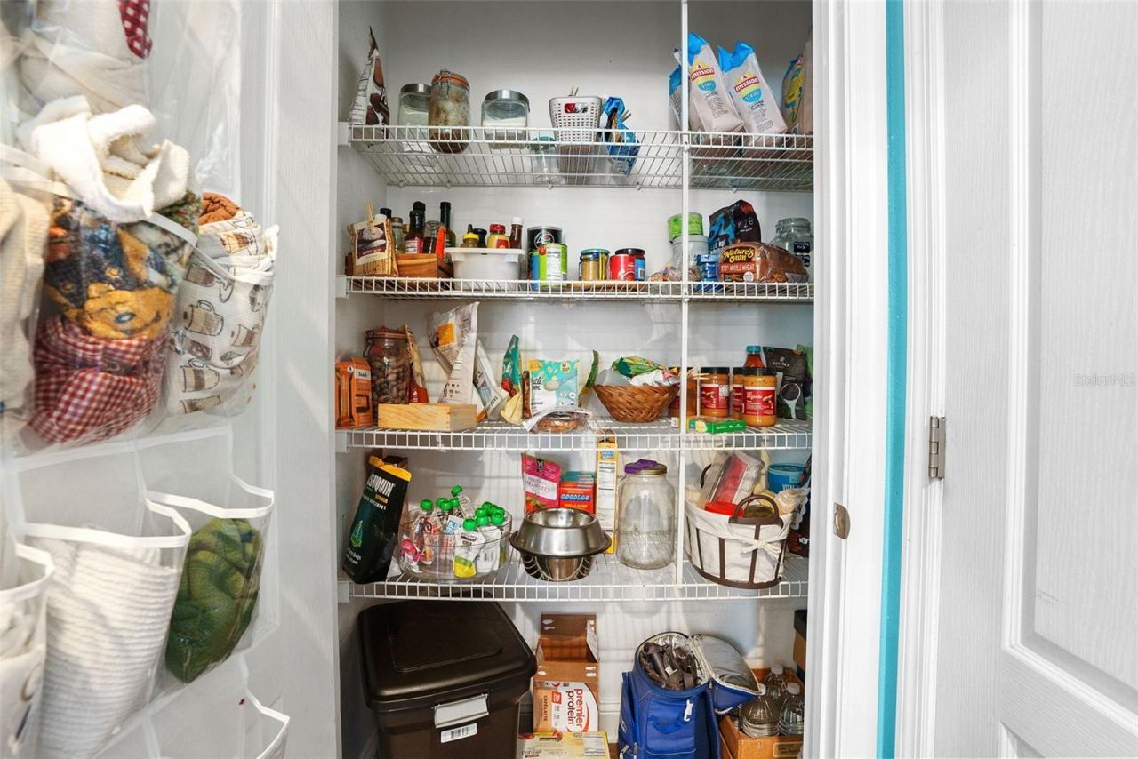 7104 Moss Ledge Run, Land O Lakes, FL 34637 Photo