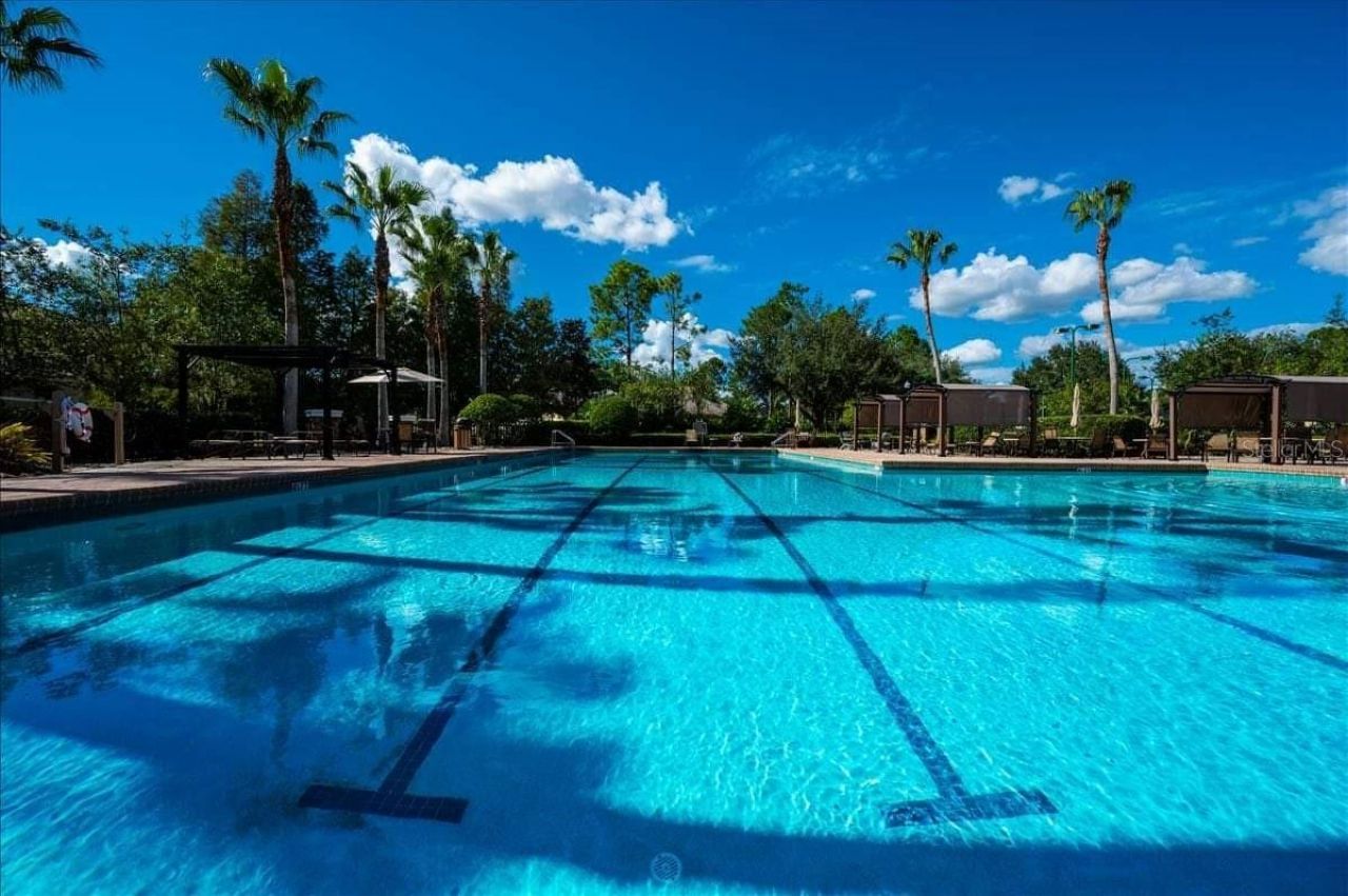 7104 Moss Ledge Run, Land O Lakes, FL 34637 Photo