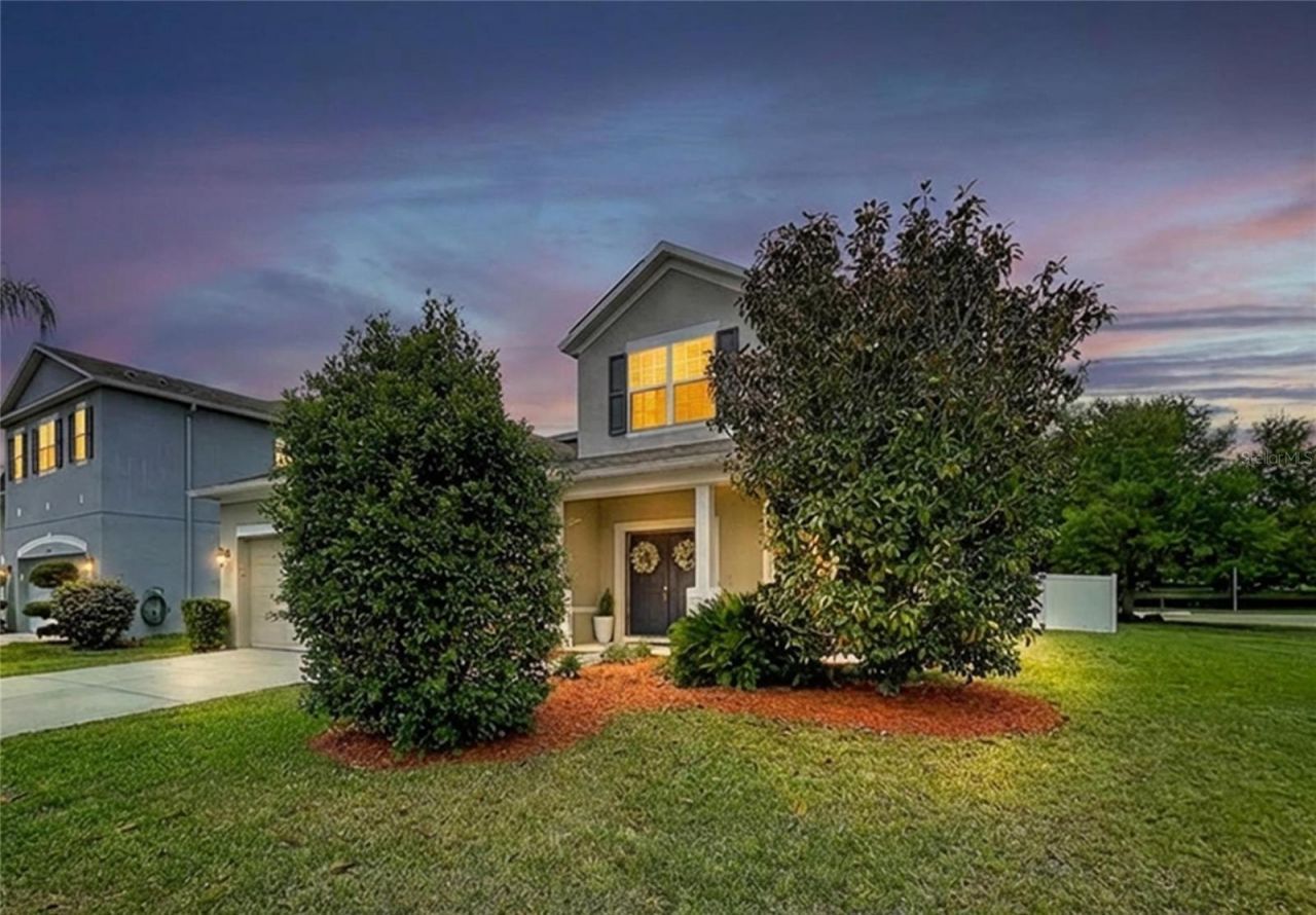 5446 Angelonia Terrace, Land O Lakes, FL 34639 Photo