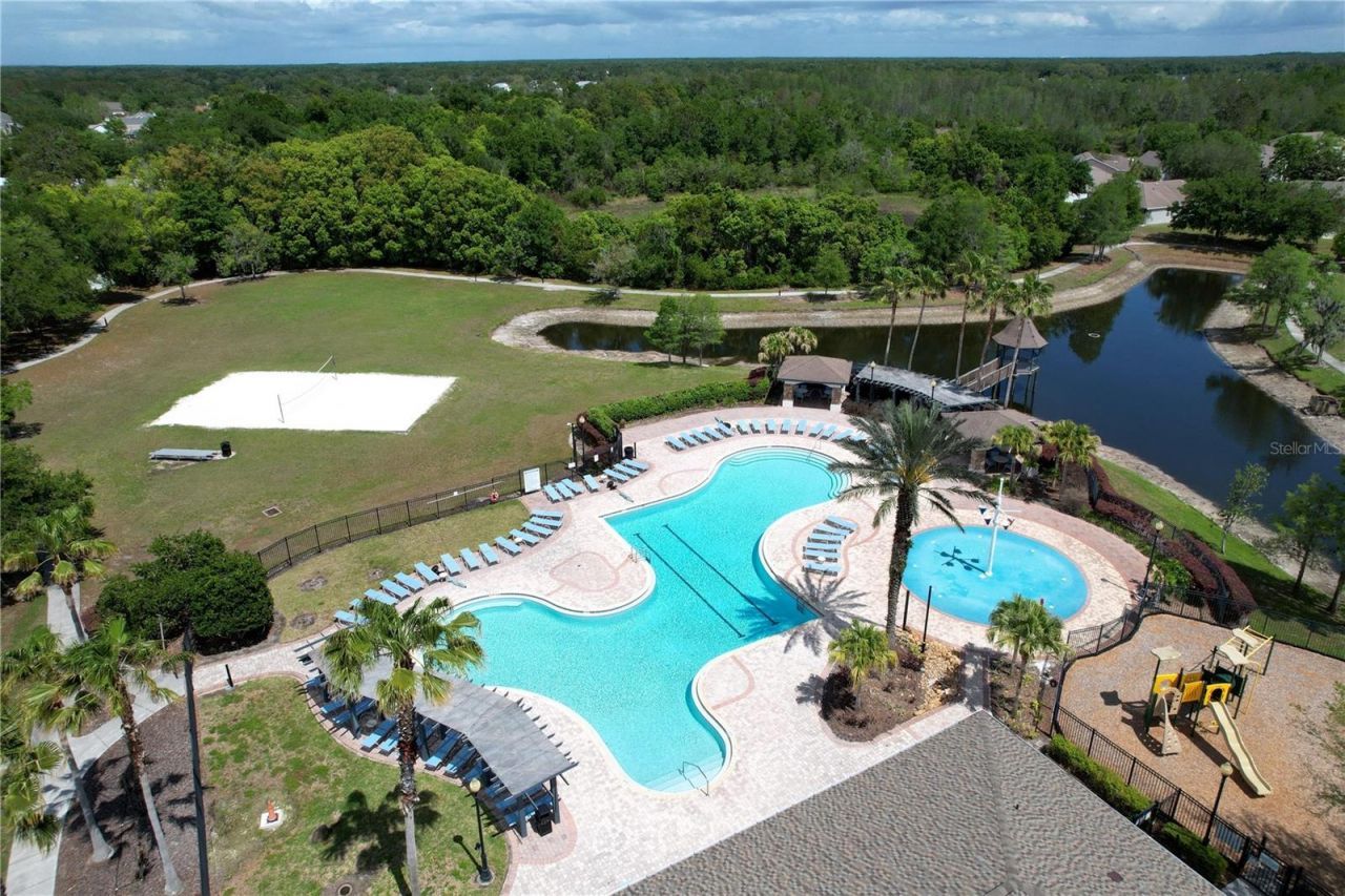 5446 Angelonia Terrace, Land O Lakes, FL 34639 Photo