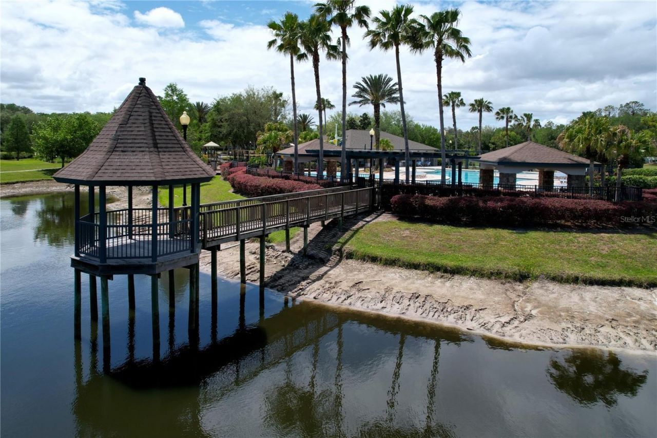 5446 Angelonia Terrace, Land O Lakes, FL 34639 Photo