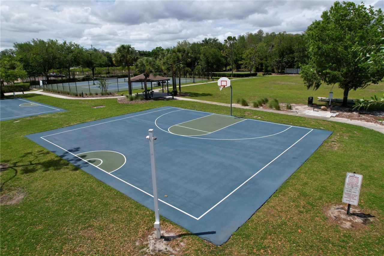 5446 Angelonia Terrace, Land O Lakes, FL 34639 Photo