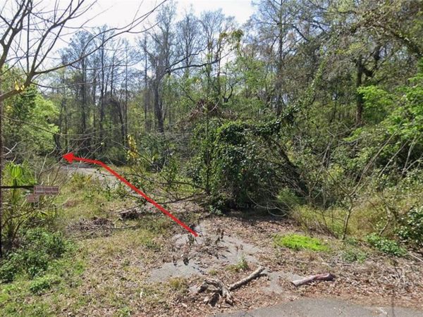 55 MARQUERITE AVENUE , NEW PORT RICHEY, FL 34654