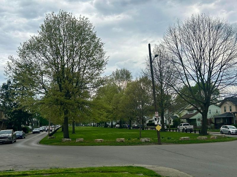 323 W Park Avenue, Columbus, OH 43223 Photo 55