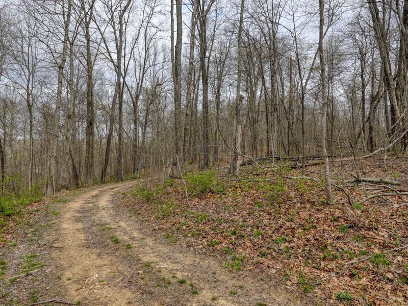 32917 Township Road 381, Warsaw, OH 43844 Photo 26