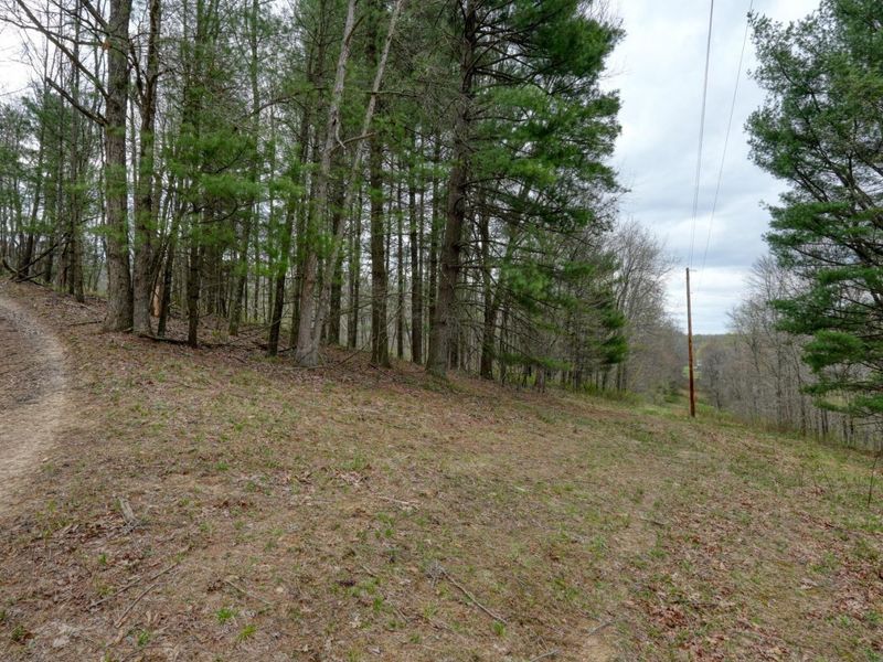 32917 Township Road 381, Warsaw, OH 43844 Photo 29