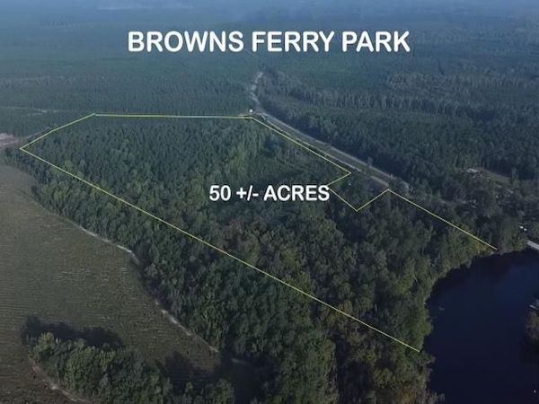 TBD Browns Ferry Rd. , Georgetown, SC 29440