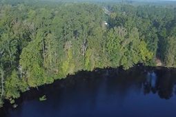 Tbd Browns Ferry Rd.  photo 4