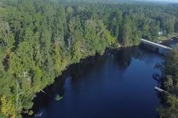 Tbd Browns Ferry Rd.  photo 4